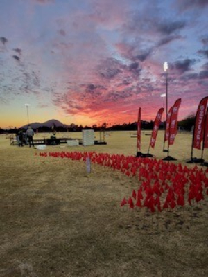 END ALS - These flags represent who we are walking for in Arizona.